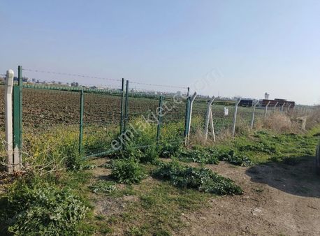 Büyük Dikili De 16 Dönüm