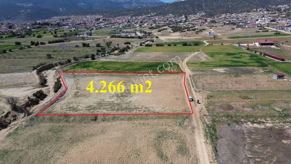Korkuteli Yeşilyaylada Satılık 4266 M2 Problemi Olmayan Tarla
