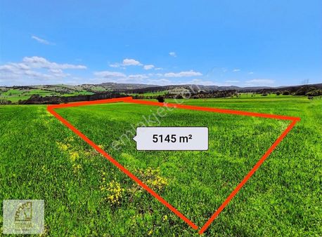 Truva'dan Kavak Çivril'de Yola 2. Parsel 5145 M² Satılık Tarla