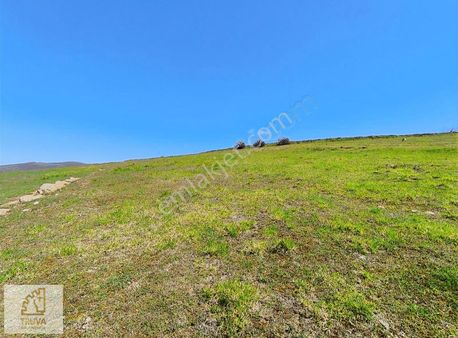 Truva'dan Kavak Çivrilde Satılık 9360 M² Tarla