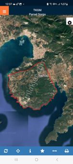 Milas Bozbük'te Kazıklıkoyun'a Bir Buçuk Kilometre Mesafeden Düz Eğimsiz Zeytinlik Satılık Yer.