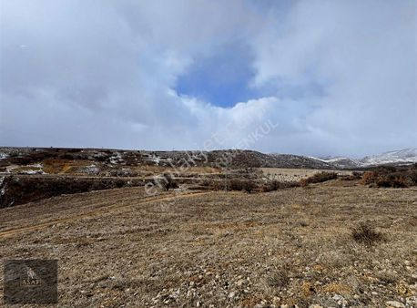 Asaf Gayrimenkul'den Yatırımlık Tarla