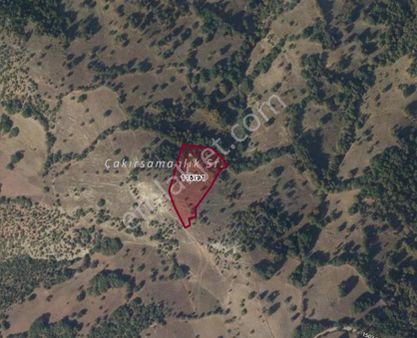 Balıkesir Dursunbey Akyayla Fırsat Tarla.