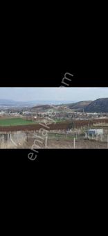 Güvenay - Çorum İskilip Yolu 12. Km Altınbaş'ta 500 M² Satılık Bahçe!