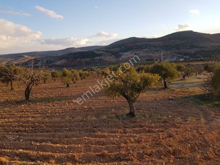Nizip Altındağda Tek Tapu Zirve Konumda