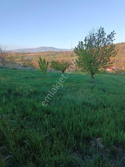 Sakarya İli Geyve İlçesi Safibey Mah. İmar Sınırında Tarla