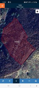 Balıkesir Burhaniye Yaylacık Köyünde Satılık Tarla