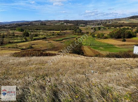 Sakarya Kaynarca Yeniçam Mahallesi Satılık 3.650 M2 Tarla