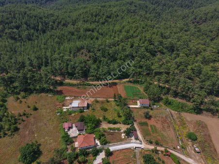 Muğla Kızılyaka 2000m2 İmarlı Arsa