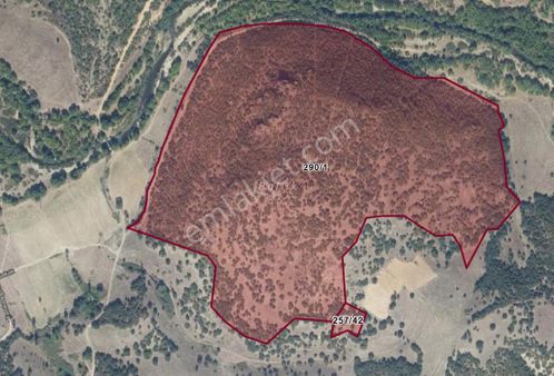 Balıkesir Sındırgı Mumcuda Fırsat Tarla.