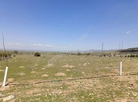 Afyon Sinanpaşa İlçesi Ahmetpaşa Belediyesi 4.559m²satılık Arazi