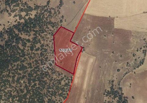 Uşak Çınarcık Köyünde 10400 M2 Satılık Tarla