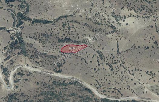 Balıkesir Sındırgı Aslandede De Fırsat Tarla.