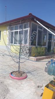 Çorum - Osmancık Yolu 15. Km Tek Tapu, Evi Olan Satılık Bağ