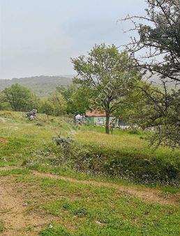 Pınarhisar Kuruderede Hisseli 290 M2 Satılık Tarla