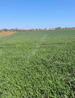 Müstakil Tapulu %60 İmarlı 2 Kat, Yol Cepheli, 675 M2 Arsa