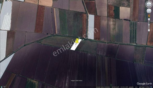 Manavgat Da 6642 M² Tek Tapu Acil Satılık Tarla