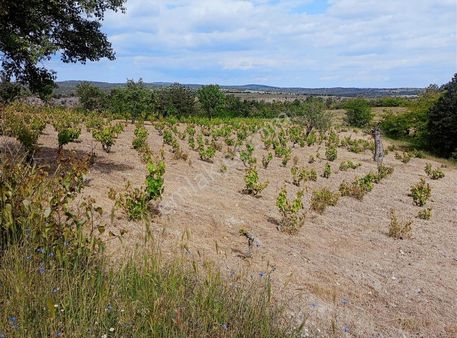Prestij Emlak'tan Satılık Baraj Manzaralı 4.600 M2 Bağlık