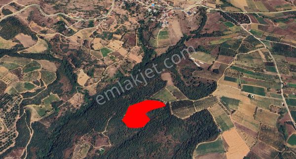 Roma' Dan Gürmüzlü De Satılık Tarla