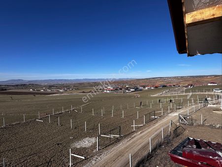 Mesire Alanı Karşısı Ana Yola 0 Otobüs Durağı Önü Hobi Bahçeler