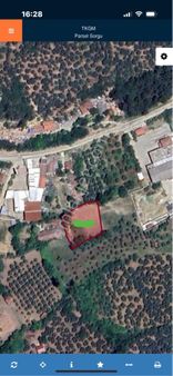 Mudanya Halilbey Dekelepir Bahçe