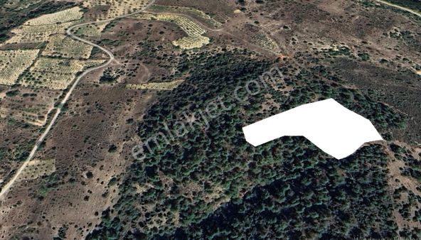 🏞️ İnhisar Akköy’de 5.792 M² Satılık Bağ