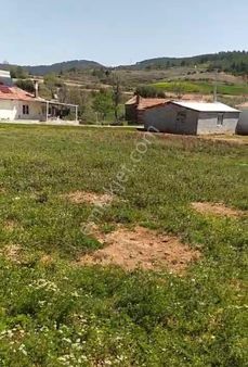 Satılık Arazi Ve Müstakil Ev Çiftlik Yapımına Uygun Aydın Bozdoğan Yeşilçam 77 Dönüm