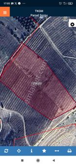 Çağlayangedik Mahallesinde Satılık Kayısı Bahçesi