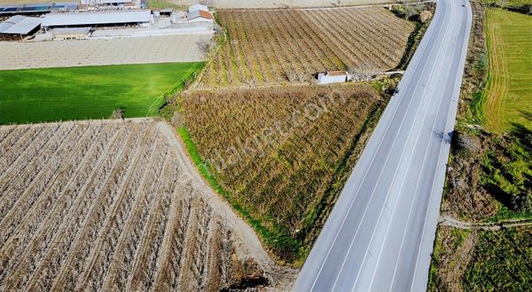 Tire Koca Emlaktan Selçuk Yolu Üzeri Satılık Tarla
