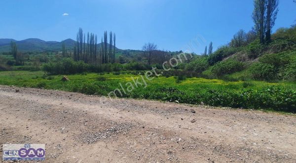 Balıkesir Sındırgı'da 4.522 Yola Yakın Dümdüz Fırsat Arazi