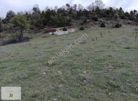 Relax Tr'den Büyükorhan Karaçukur'da Yatırımlık Arazi
