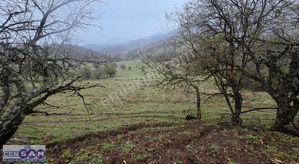 Balıkesir Sındırgı'da 30 Dönüm Çift Yola Cepheli Fırsat Arazi