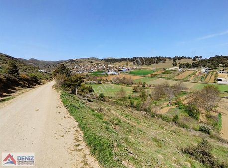 Bursa Yenişehir Cihadiye Yola Cephe Verimli Tarım Arazisi