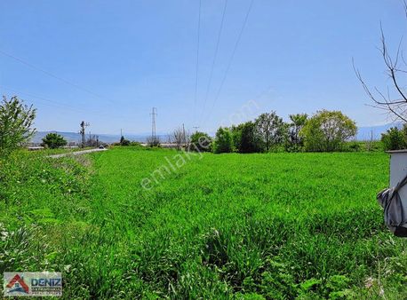 Bursa Yenişehir Kozdere Yola Cephe Verimli Tarım Arazisi