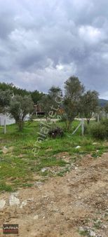 Menderes Çile De Doğa Manzaralı Yaşam Alanı