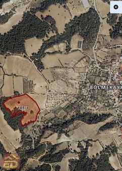 Dağcı Emlak Buldan Bölmekaya Mah Satılık 22975 M2 Zeytinlik
