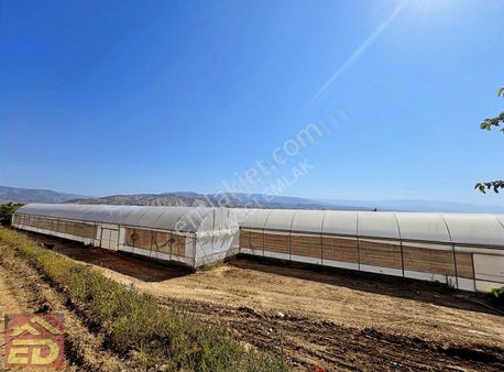 Dağcı Emlak Buldan Kurulu Düzen Ruhsatlı 15000m2 Kapalı Alansera