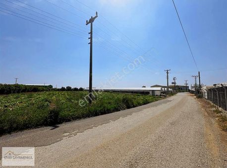 Uyar Gayrimenkulden Silifke Atayurt Mah Satılık Tarla