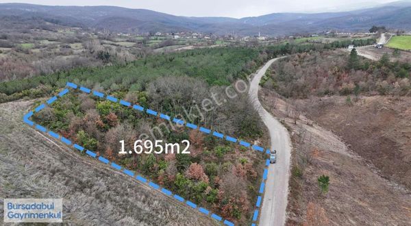 Bursadabul'dan Muradiye Sarnıç Asfalta Cephe 1.695m2