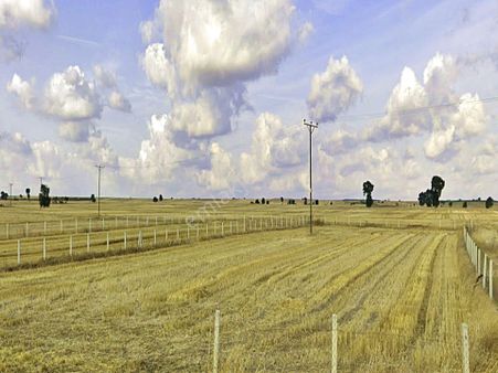 Pınarhisar Sütlücede Ekim Biçime Uygun 1800 M2 Satılık Tarla