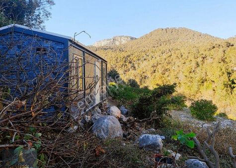 Mersin Erdemli Gücüş Satılık 727 Metrekare Tek Tapu Tarla