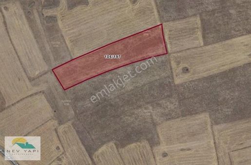 ** Nev Yapı Arsa Ofisinden 5819 Metrekare **