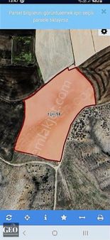 2000 M2 Tapulu Hisse