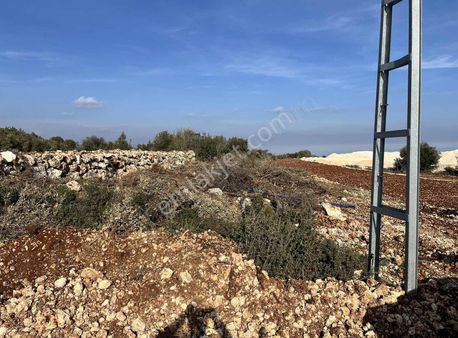 Aslanlıda 1547 M2 Satılık Arsa