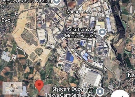 Altın Emlak'tn Tarsus Osb'de Soğuk Hava Depolu Fabrika Alanı