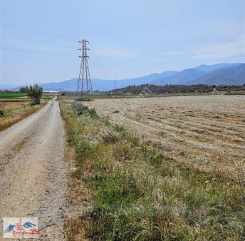 Ovada Mükemmel Konumlu Çiftlik Ruhsatlı Arazi 10.906 M2