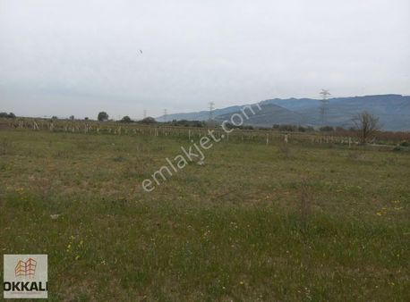 Okkalı Emlak Tan Menemen Haykıran Da Satılık Tarla