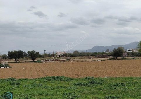 Turgutlu Albayrak Mahallesi'nde Satılık Arsa