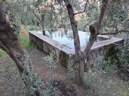 Umurbey Süper Lokasyon, Süper Fiyat Satılık Zeytinlik