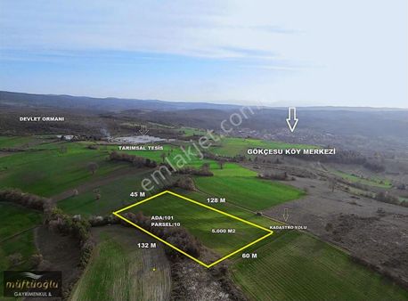 Bursa Yenişehir Gökçesuda 5 Dönüm Fırsat Tarla !!!!